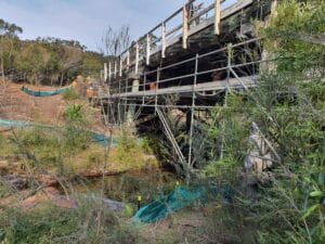 Gallery &raquo; Scaffolding