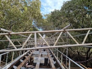 Gallery &raquo; Scaffolding